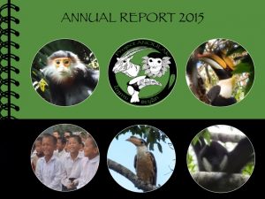 thumbnail of 2015_AnnualReport