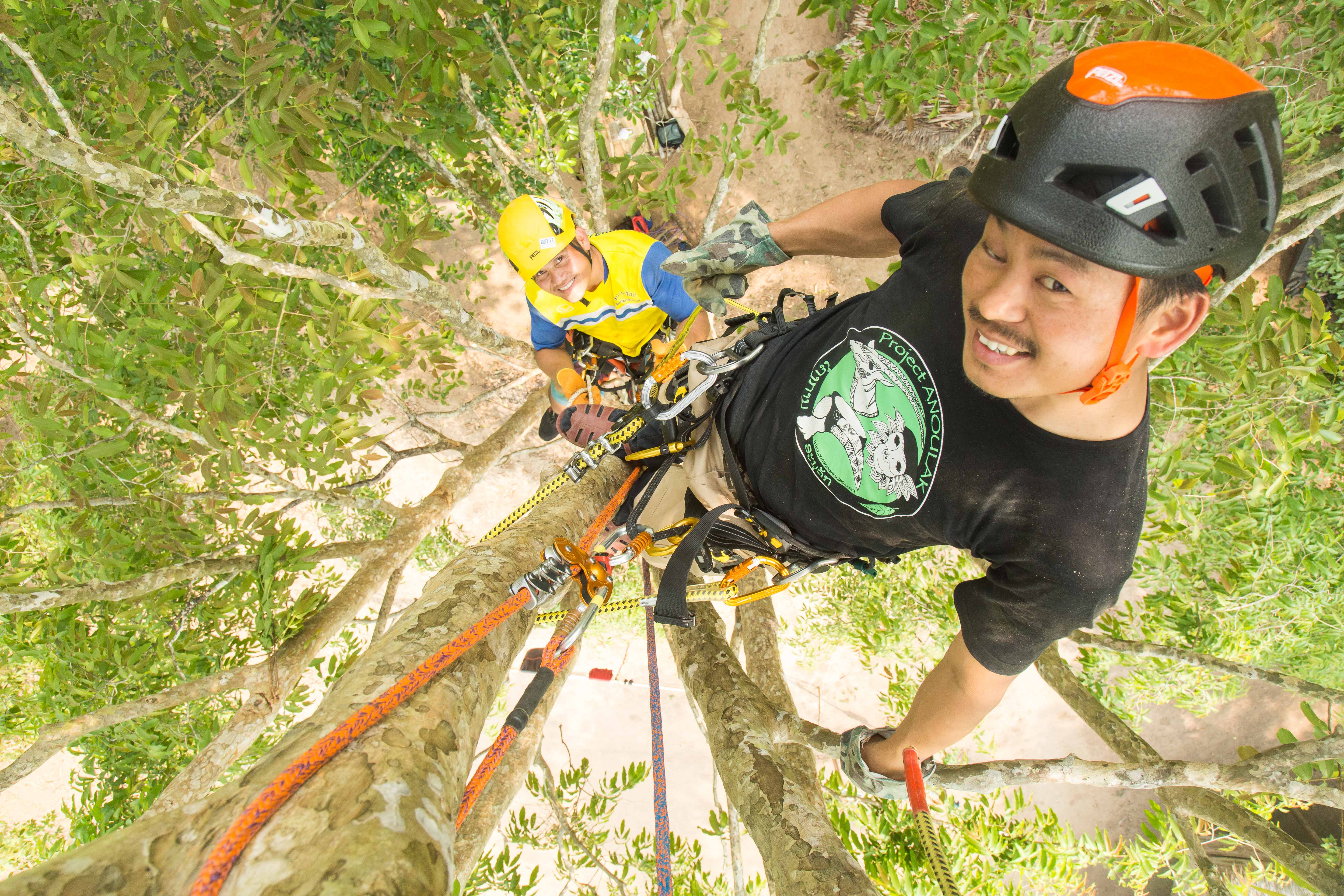 Exploring the canopy: Tree climbing training to better study