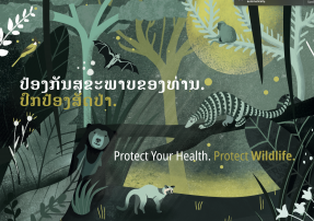 Protect your Health - Protect Wildlife: We produce an exclusive educative material to inform about zoonosis