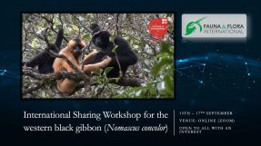 Participation in the International Sharing Workshop for the conservation of Black Crested Gibbon