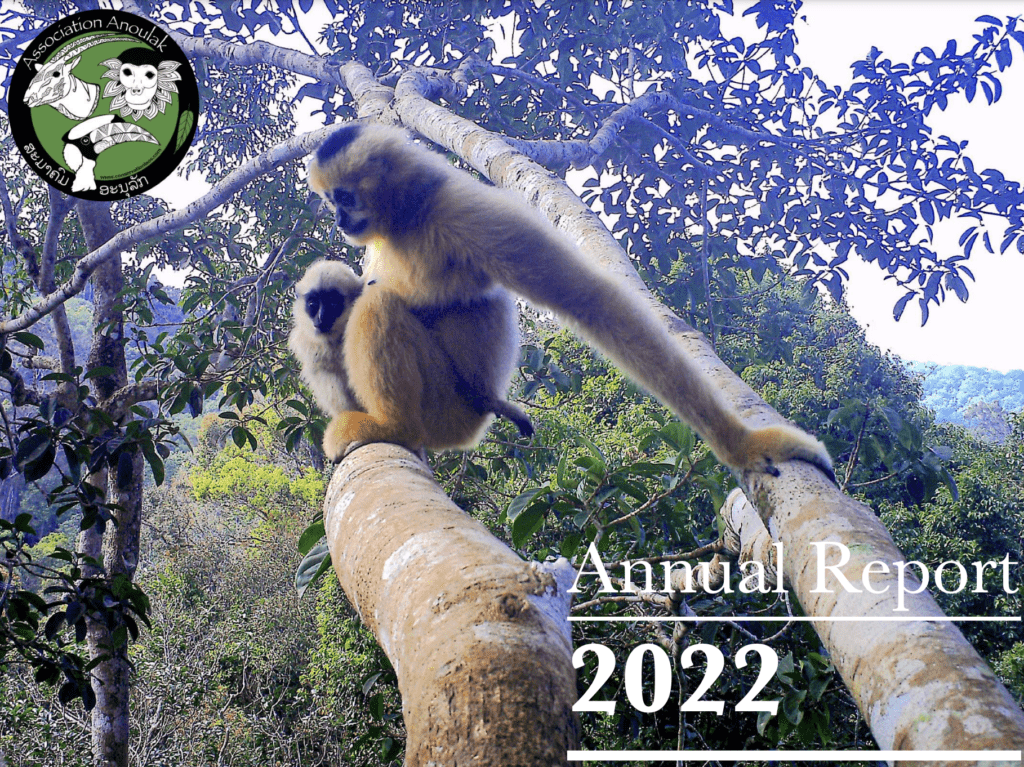 Our Annual Report 2022 is Out!