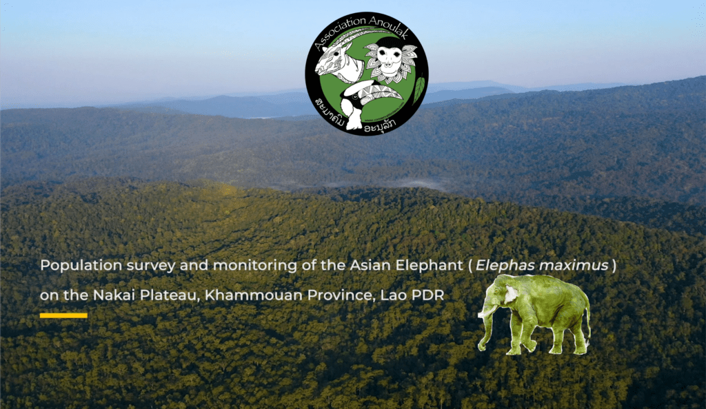 VIDEO OUT! Population survey of the Asian Elephant on the Nakai Plateau, Khammouan Province, Laos