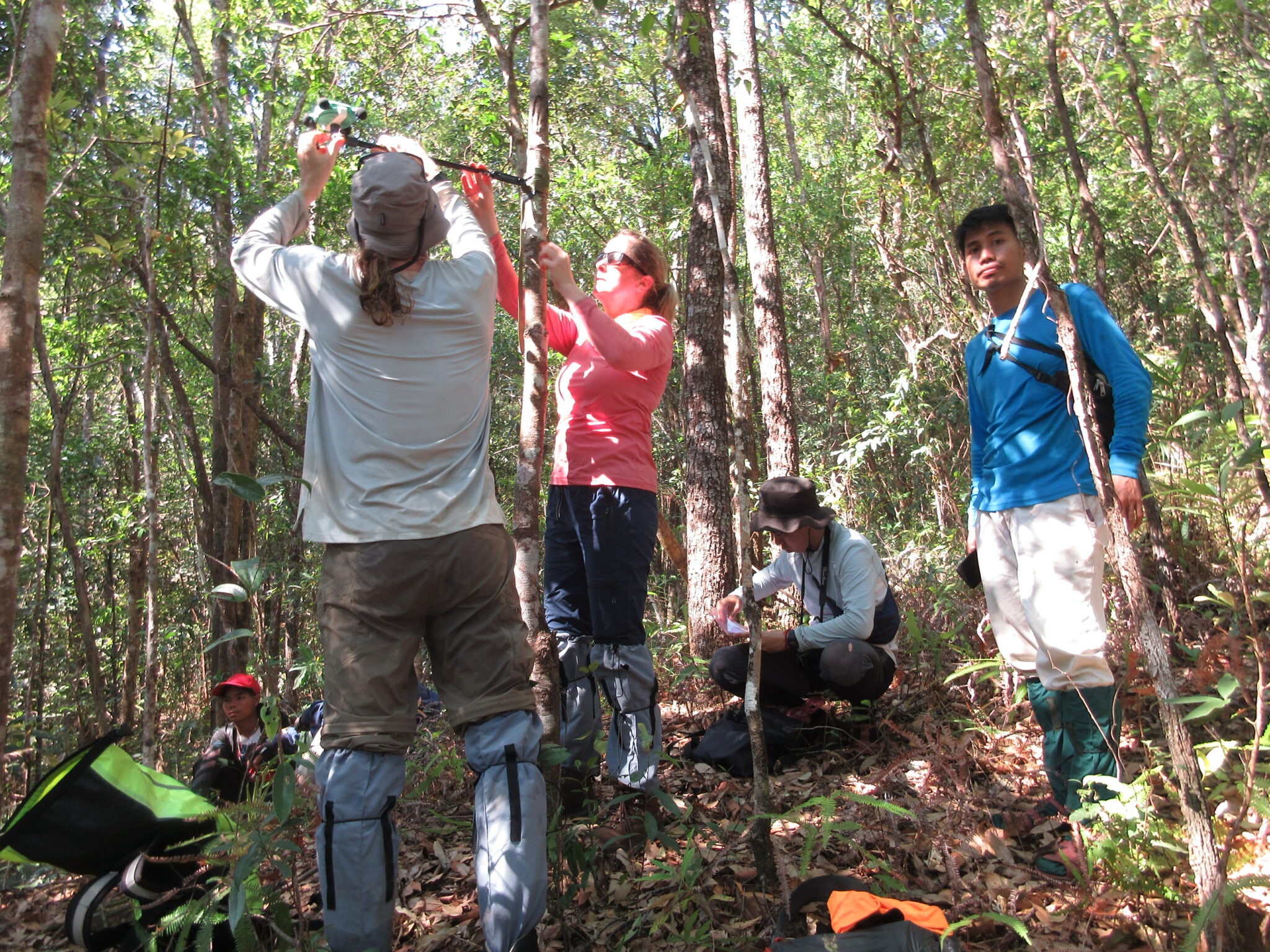 Gibbon surveying in the digital age field testing of first automated acoustic recorder